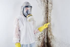 Pacifica, CA Mold Removal & Remediation Company